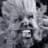 David Navratil