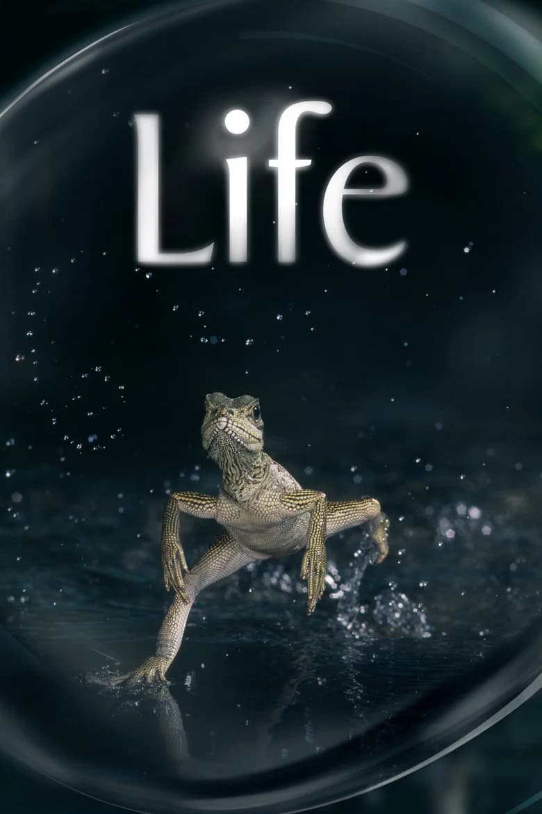 Life
